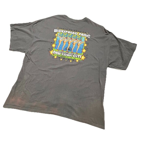 Widespread Panic Earth to America Vintage 06 Concert Radio City 2X Rare! - Picture 8 of 14